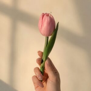 Bougie Tulipe Rosée