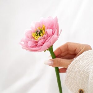 La Pivoine Rosée