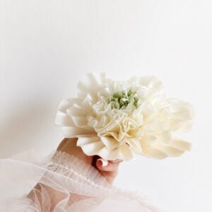 Dahlia d’Ivoir